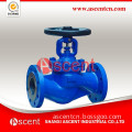 Pvdf Flanged Globe Valve